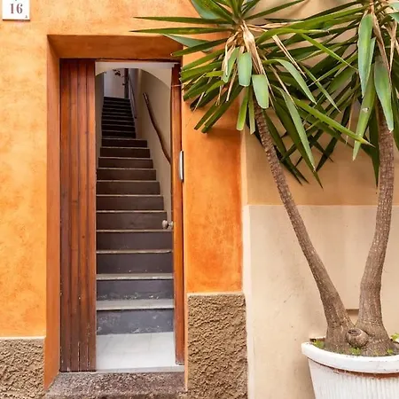 Apartamento Little Flower