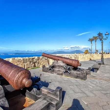 Little Flower Alguer