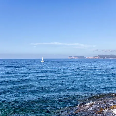Daire Little Flower Alghero